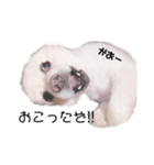 愛犬むさしさん2（個別スタンプ：3）