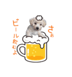 あずき❤︎夏のご挨拶（個別スタンプ：2）