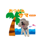 あずき❤︎夏のご挨拶（個別スタンプ：6）