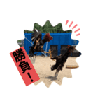 弘来軍鶏スタンプ VER.1（個別スタンプ：6）