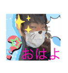 腐レンドSTAMPS（個別スタンプ：6）