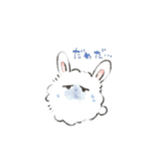 けぱうさ（個別スタンプ：11）