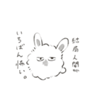 けぱうさ（個別スタンプ：12）