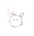 けぱうさ（個別スタンプ：16）