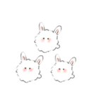けぱうさ（個別スタンプ：17）