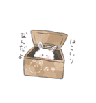 けぱうさ（個別スタンプ：25）