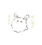 けぱうさ（個別スタンプ：28）