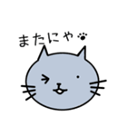 ねこが普通のあいさつをします（個別スタンプ：12）