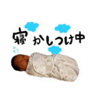 胡桃 0ヶ月（個別スタンプ：3）