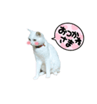 M家Family2（個別スタンプ：11）