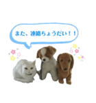 M家Family2（個別スタンプ：16）
