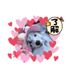 おぅちゃんちvol.5（個別スタンプ：17）