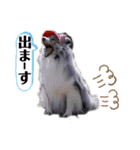 おぅちゃんちvol.5（個別スタンプ：34）