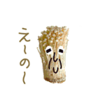 お野菜LOVE（個別スタンプ：13）