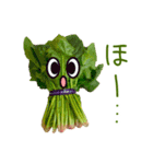 お野菜LOVE（個別スタンプ：16）