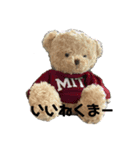 クマくまくんのスタンプ（個別スタンプ：1）