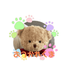 クマくまくんのスタンプ（個別スタンプ：7）