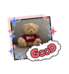 クマくまくんのスタンプ（個別スタンプ：15）