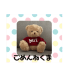 クマくまくんのスタンプ（個別スタンプ：16）