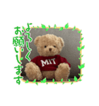 クマくまくんのスタンプ（個別スタンプ：17）
