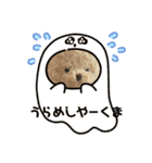 クマくまくんのスタンプ（個別スタンプ：35）