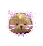 クマくまくんのスタンプ（個別スタンプ：36）