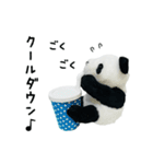 上野で誕生日おめでとう！（個別スタンプ：11）