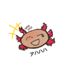 ウーパーウーパー（個別スタンプ：11）
