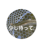 fishingスタンプ20（個別スタンプ：11）