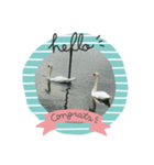 白鳥と花（個別スタンプ：1）
