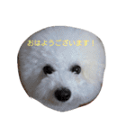 cocon日和4（個別スタンプ：3）