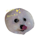 cocon日和4（個別スタンプ：4）