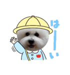 cocon日和4（個別スタンプ：7）