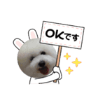 cocon日和4（個別スタンプ：8）