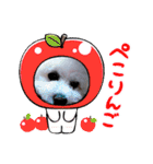 cocon日和4（個別スタンプ：12）