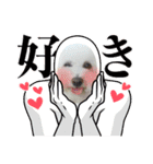 cocon日和4（個別スタンプ：19）