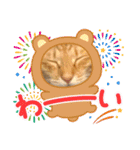 ネコチャコ パート2（個別スタンプ：5）