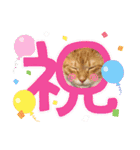 ネコチャコ パート2（個別スタンプ：11）
