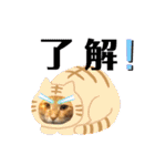ネコチャコ パート2（個別スタンプ：13）