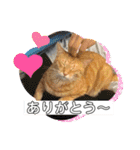 ネコチャコ パート2（個別スタンプ：21）