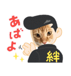 ネコチャコ パート2（個別スタンプ：26）