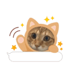 ネコチャコ パート2（個別スタンプ：40）