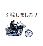 ひでちゃんバイクスタンプ（個別スタンプ：3）