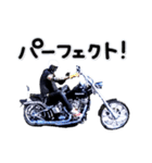 ひでちゃんバイクスタンプ（個別スタンプ：6）