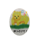 dog  cat001（個別スタンプ：5）