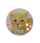 dog  cat001（個別スタンプ：13）