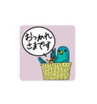 さざなみインコ•とりのスタンプ（個別スタンプ：5）