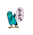 さざなみインコ•とりのスタンプ（個別スタンプ：22）