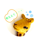 キリンさ〜んスタンプ（個別スタンプ：12）