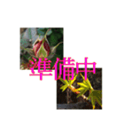 在宅勤務色々（個別スタンプ：14）